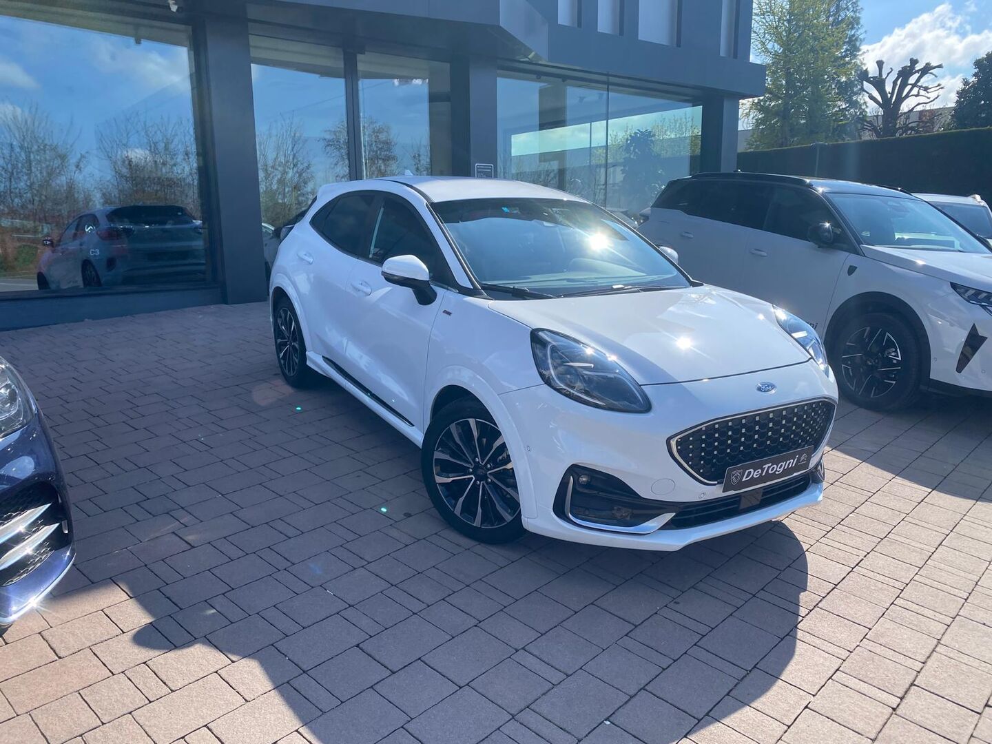 PUMA ST-LINE VIGNALE